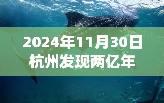 揭秘两亿年前杭州鲨鱼化石，史前海洋霸主现身杭州！