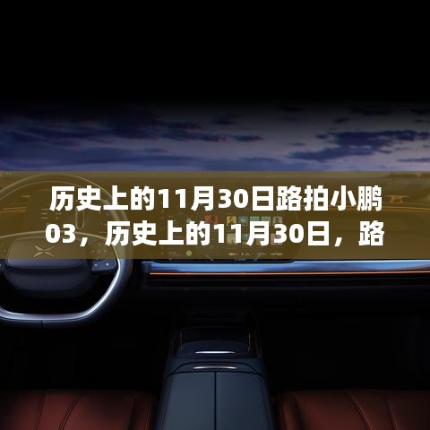 历史上的11月30日，路拍小鹏的宁静自然之旅纪实