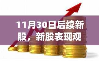 11月30日后续新股，新股表现观察，聚焦11月后续新股的投资价值分析