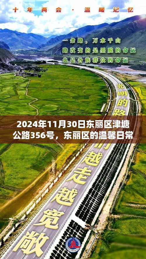 东丽区津塘公路上的温馨日常与欢乐时光（2024年11月30日）