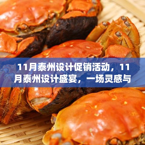 11月泰州设计盛宴，灵感与促销的交汇之旅