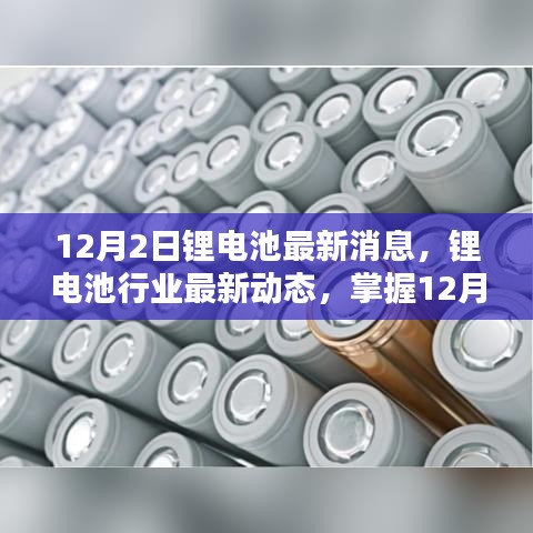 掌握最新动态，锂电池行业消息速递与技术入门应用解析