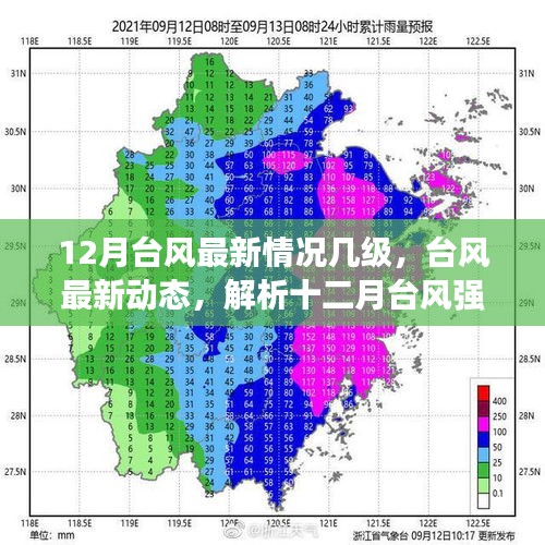 十二月台风最新动态，强度、等级与影响分析