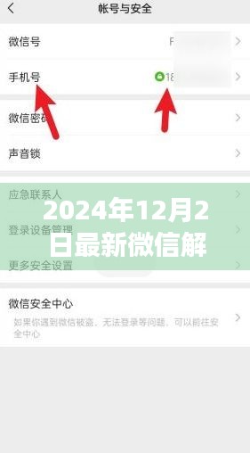 微信解绑手机号码最新趋势解析与探讨（2024年观点）