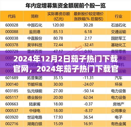 2024年茄子热门下载官网使用指南，适合初学者与进阶用户的全面教程