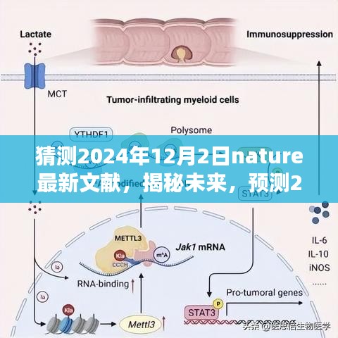 揭秘未来，预测Nature新文献对科技领域的影响与地位（2024年12月2日）