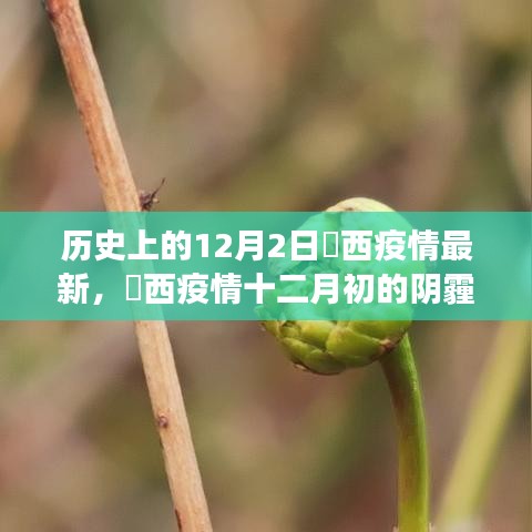 历史视角下的深度剖析，江西疫情十二月初的阴霾与曙光——最新疫情进展与回顾