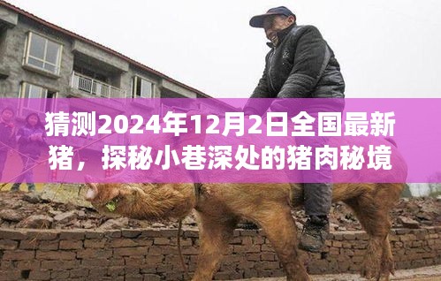 探秘猪肉秘境，预测2024年12月全国最新猪肉行情与风味揭秘