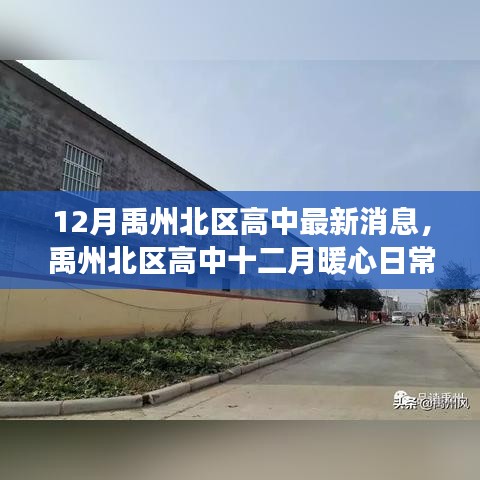 禹州北区高中十二月暖心日常，友情、梦想与成长的季节揭秘