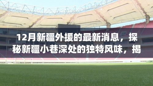 探秘新疆小巷深处的独特风味，揭秘十二月新疆外援最新消息与隐藏小店故事