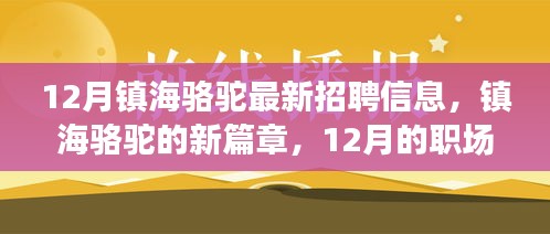 镇海骆驼最新招聘启幕，职场奇遇与友情的温暖新篇章（12月）