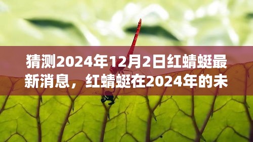 2024年红蜻蜓最新动态与技术创新的未来展望