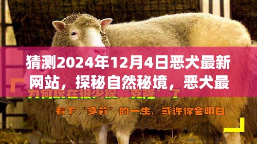 探秘自然秘境，恶犬最新网站启程心灵之旅，启程日期为2024年12月4日