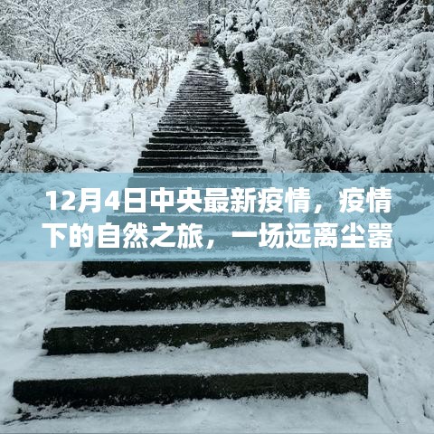 中央最新疫情后的自然之旅，心灵探索启程在美好的十二月