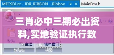 三肖必中三期必出资料,实地验证执行数据_超值版49.530-3