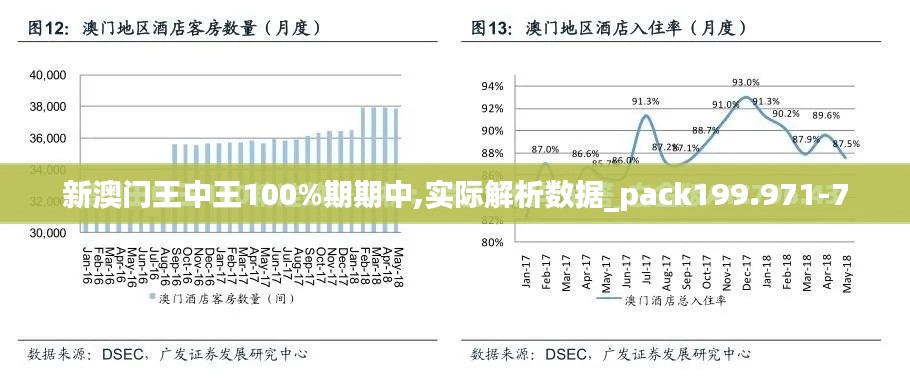 新澳门王中王100%期期中,实际解析数据_pack199.971-7