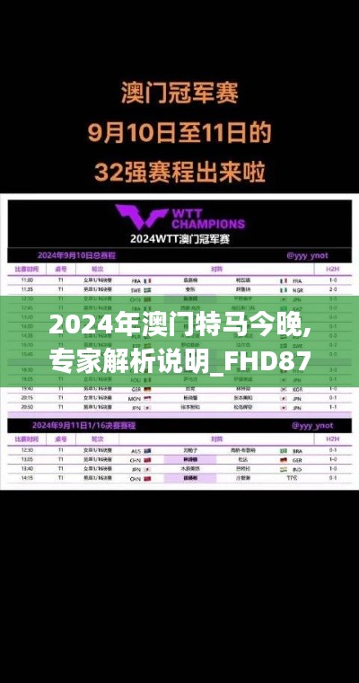 2024年澳门特马今晚,专家解析说明_FHD87.106-6