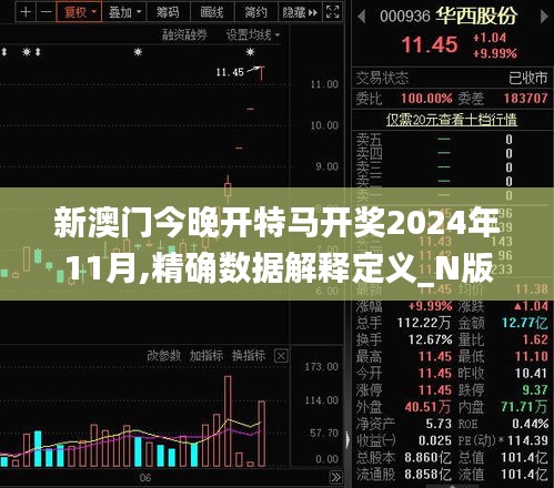 新澳门今晚开特马开奖2024年11月,精确数据解释定义_N版96.117-1