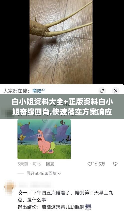 法不阿贵 第3页