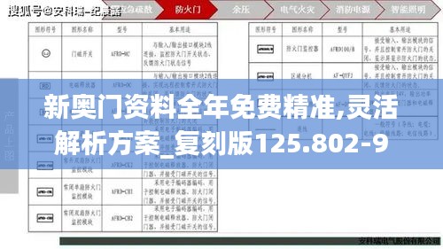 新奥门资料全年免费精准,灵活解析方案_复刻版125.802-9