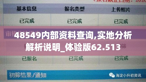 48549内部资料查询,实地分析解析说明_体验版62.513