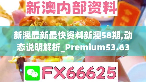 新澳最新最快资料新澳58期,动态说明解析_Premium53.632