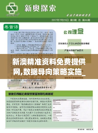 新澳精准资料免费提供网,数据导向策略实施_C版163.447