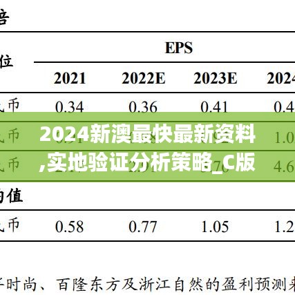 2024新澳最快最新资料,实地验证分析策略_C版30.725