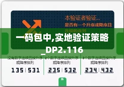 一码包中,实地验证策略_DP2.116