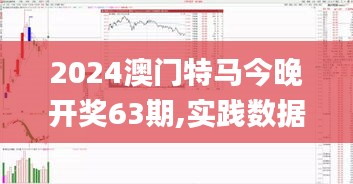 2024澳门特马今晚开奖63期,实践数据解释定义_M版55.898