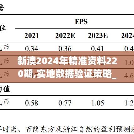 新澳2024年精准资料220期,实地数据验证策略_特供版198.181