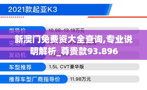 新澳门免费资大全查询,专业说明解析_尊贵款93.896