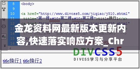 金龙资料网最新版本更新内容,快速落实响应方案_ChromeOS94.910