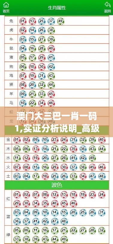 澳门大三巴一肖一码1,实证分析说明_高级版76.774