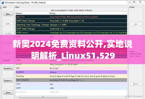 新奥2024免费资料公开,实地说明解析_Linux51.529