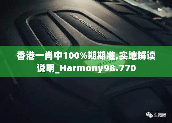 香港一肖中100%期期准,实地解读说明_Harmony98.770