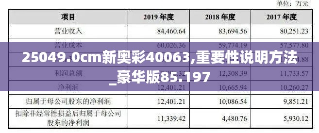 25049.0cm新奥彩40063,重要性说明方法_豪华版85.197