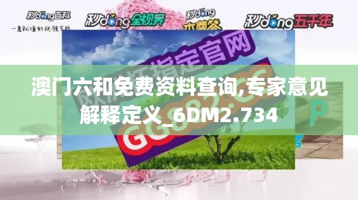 澳门六和免费资料查询,专家意见解释定义_6DM2.734