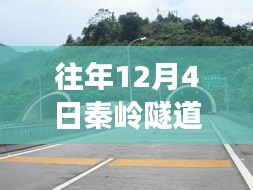 秦岭隧道事故最新进展揭秘，深度解读事故原因与救援进展，掌握最新消息！