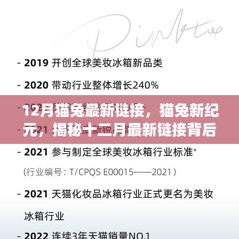 揭秘猫兔新纪元，十二月最新链接背后的故事与影响