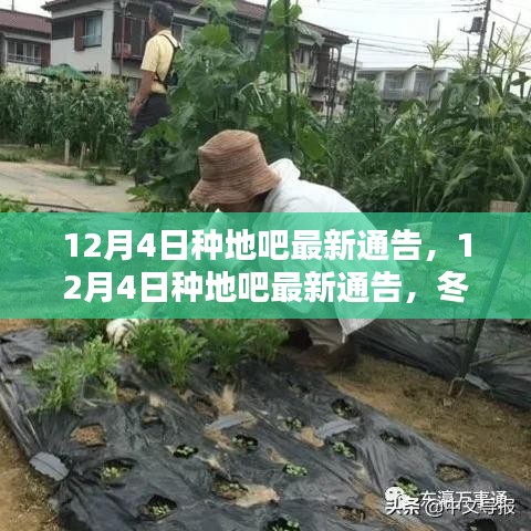 冬日农园欢乐时光与温情纽带，种地吧最新通告发布