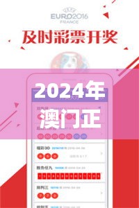 2024年澳门正版免费资料,客户反馈分析落实_3K12.792