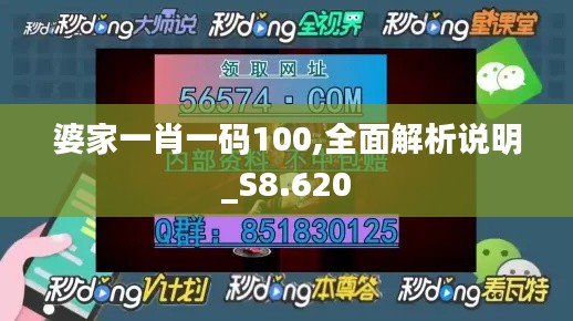 婆家一肖一码100,全面解析说明_S8.620