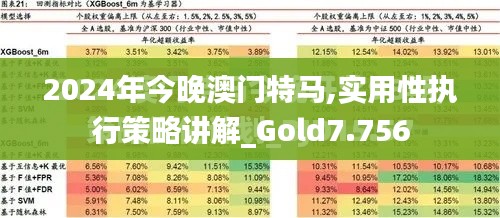 2024年今晚澳门特马,实用性执行策略讲解_Gold7.756