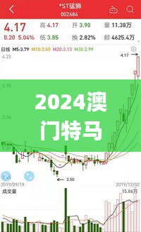 2024澳门特马今晚开奖63期,深层策略执行数据_专业款2.612