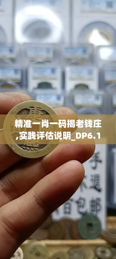 精准一肖一码揭老钱庄,实践评估说明_DP6.135