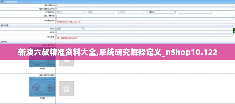 新澳六叔精准资料大全,系统研究解释定义_nShop10.122