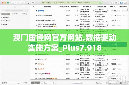 澳门雷锋网官方网站,数据驱动实施方案_Plus7.918