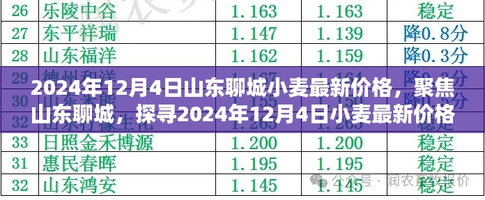 山东聊城小麦最新价格动态，聚焦2024年12月4日的价格走势分析