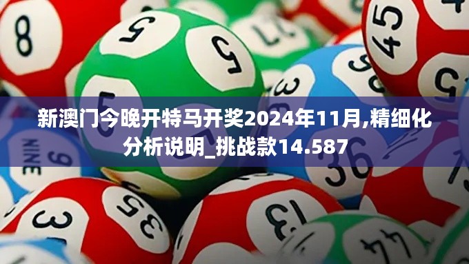 新澳门今晚开特马开奖2024年11月,精细化分析说明_挑战款14.587